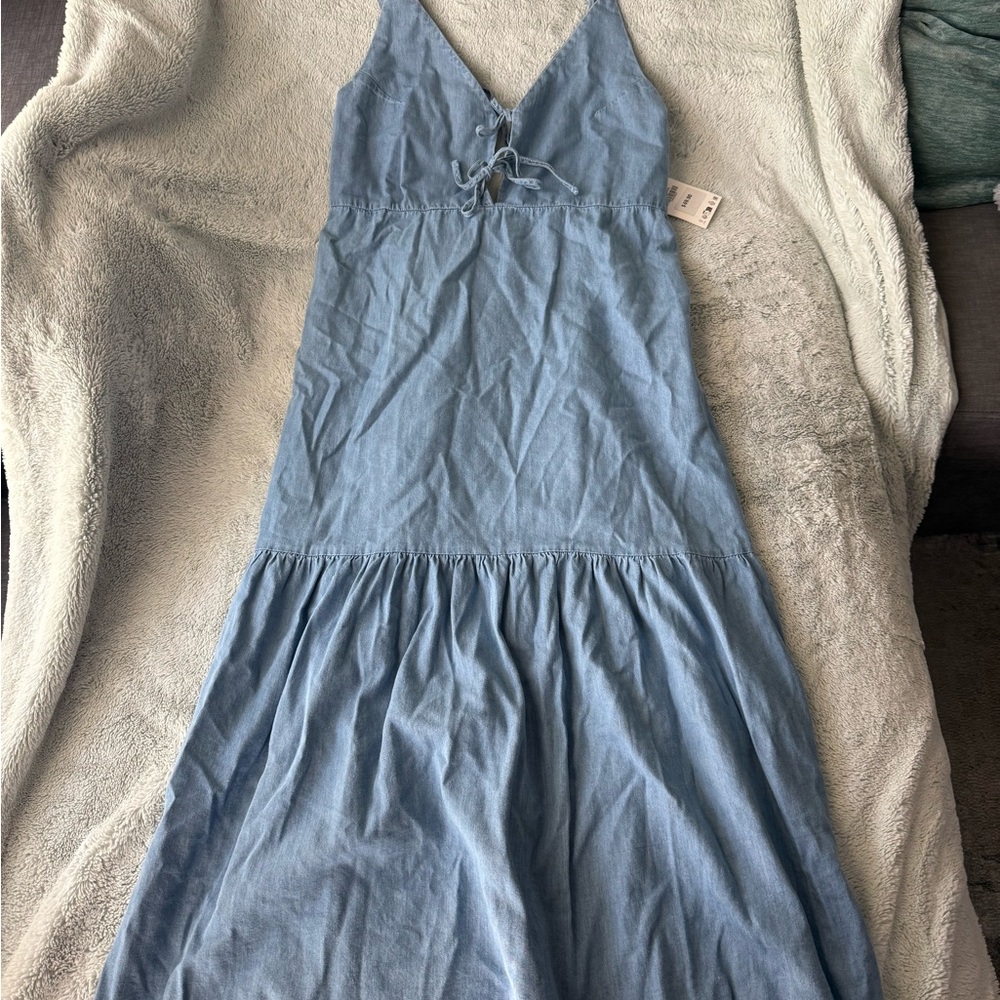Zara Blue Sleeveless Maxi Dress